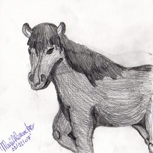 Illustrazione di Alessandro Musi (2007)