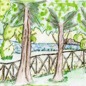 Illustrazione di Antonella Vivacqua (2007)