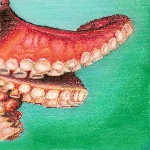 Illustrazione di Sabina La Mattina (2007)