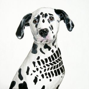 Illustrazione di Tomaso Marcolla (2007)