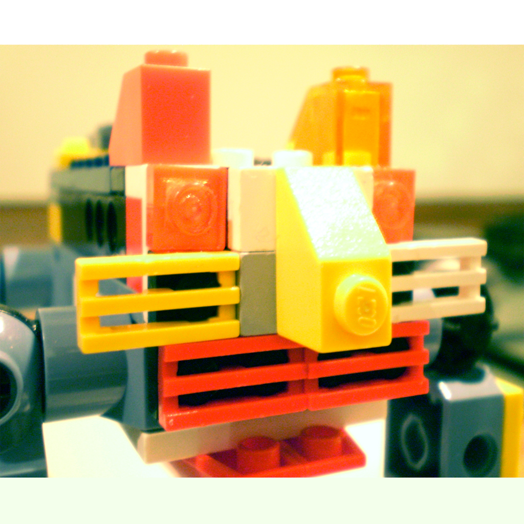 2008 - Guglielmo Ardigò - Lego di gatto