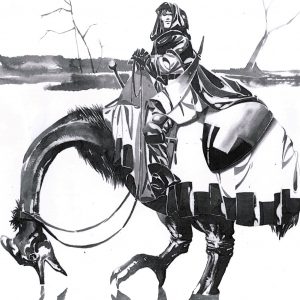 2010 - Giovanni Curi - Di pattuglia nelle paludi