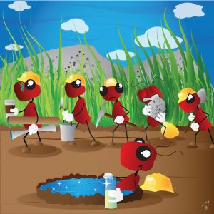 2010 - Marco Sorbara - The Working Ant