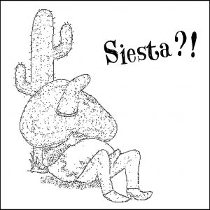 2010 - Nenad Acimovic - Siesta?!
