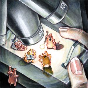 2011 (Privacy) - Ariela Coco - 40X