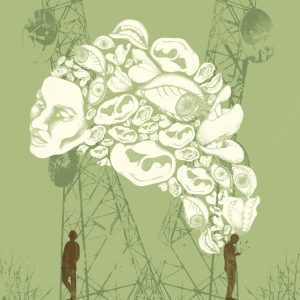 2011 (Privacy) - carolina ricciulli - l'illusione della privacy