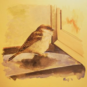 2011 (Privacy) - Filomena Parisi - Delizioso disturbatore