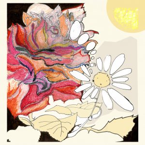 2011 (Privacy) - LUCIA PRUDENZIATI - Volevo essere una rosa