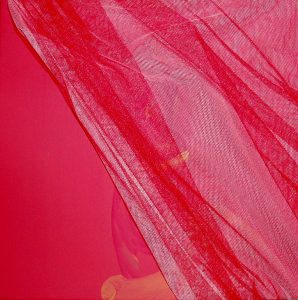 2011 (Privacy) - MARIANGELA DE MARCO - MAN'S PRIVACY