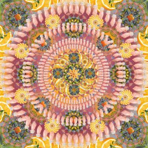 2012 (Buffet) - Chiara Bigatti - Magico Buffet