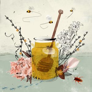 2012 (Buffet) - Livia Cives - Buffet (per insetti)