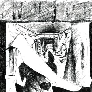 2012 (Buffet) - Monica Seri - L'altra faccia della medaglia