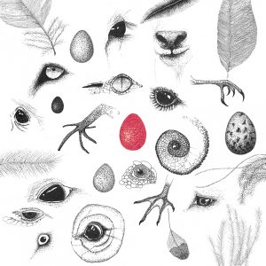 2013 (Eden) - Alice Padovani - atlas