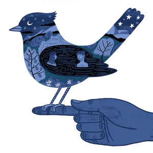 2013 (Eden) - Andy Robert Davies - Bird of Paradise