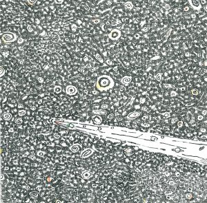 2013 (Eden) - Cesare Fernicola - Cercando l'eden