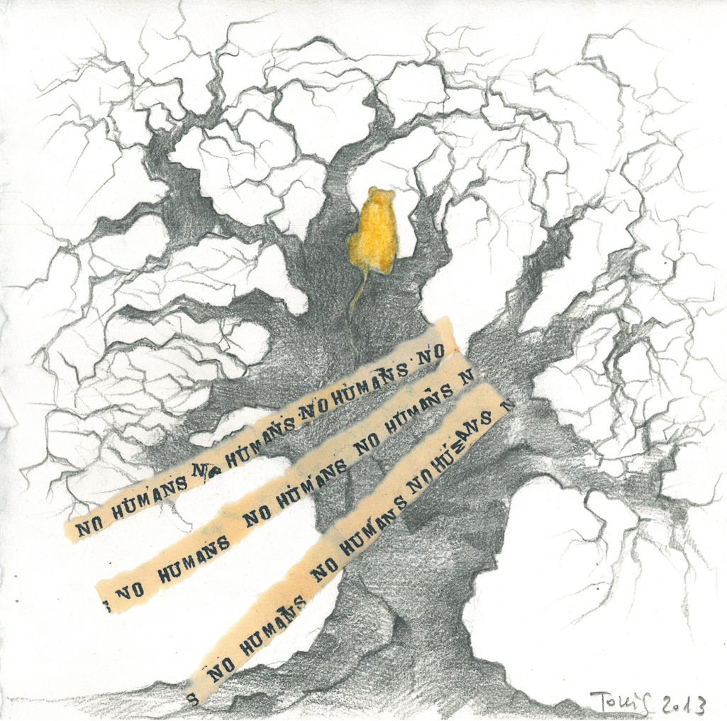 2013 (Eden) - Daniela Tollis - No Humans