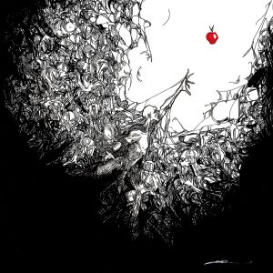 2013 (Eden) - emanuele desiati - Verso l'Eden