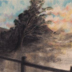 2013 (Eden) - emma lidia squillari - in via di estinzione