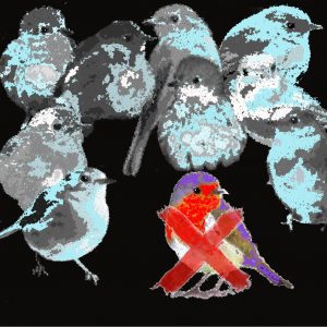 2014 (X) - CINZIA ATENA - x