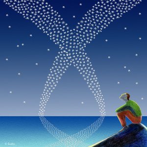 2014 (X) - Concetta Scuderi - L'incognita