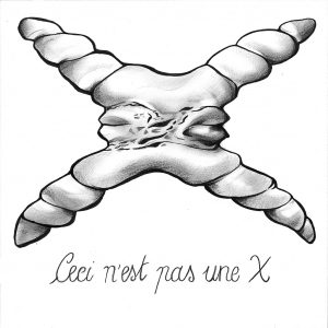 2014 (X) - Daniela Farinelli Matteo Mazzacurati - Questa non è una X (omaggio a Magritte)