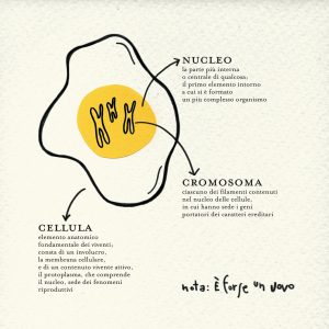 2014 (X) - elisa miorin - È forse un uovo?