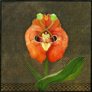 2014 (X) - Erica Landi - Chiasma botanico