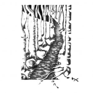 2014 (X) - erika brunelli - into the X