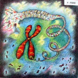 2014 (X) - Lucia Chilese - Informazione genetica