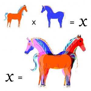 2014 (X) - Martina Bove - se il cavallo non m'inganna