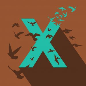 2014 (X) - Patrycja Gasiorek - Cycle of life