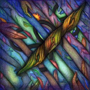 Margherita Silvestri - Funem manibus (Tapirulan Illustrators Contest SOS)