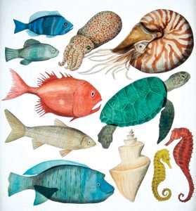 Somang Lee - Endangered Species (Tapirulan Illustrators Contest SOS)