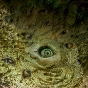 Laura Martinuzzi - Fango (Tapirulan Illustrators Contest SOS)