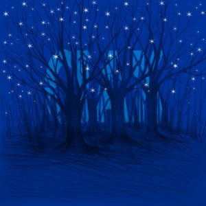 (CIAK) *Bosco Stellato* - Illustrazione di Karin Jachemet