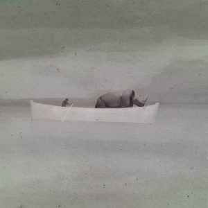 (CIAK) Non c'è nient'altro che quello che vedete - Illustrazione di Cecilia Ferri