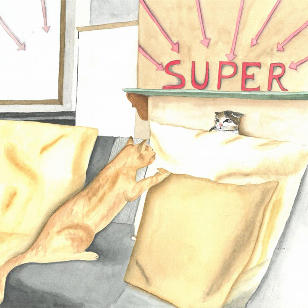 susanna marchesin - SUPER...GATTI?