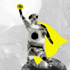 elisa terrazzino - "Grandi poteri per piccole cose"