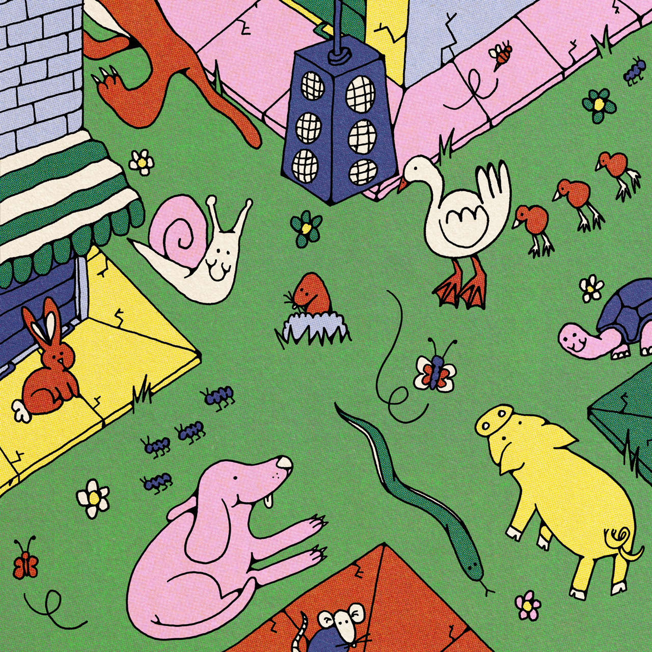 2020-7163 - Nicolò Tromben - Strade Selvagge