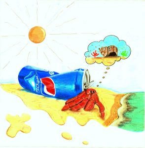 2020-7485 - Elena Motori - L'enigma del paguro