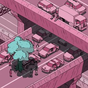 2021-8449 - Matteo - De Ascaniis - Albero sull'A14