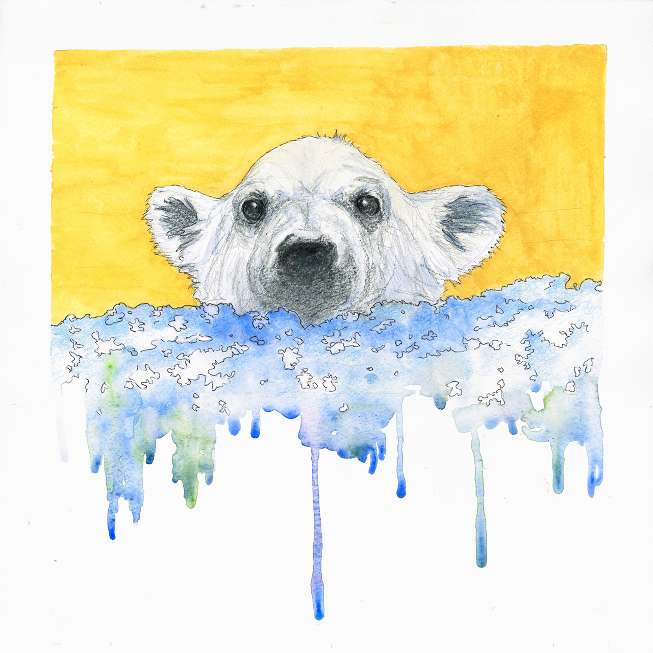 2021-8527 - Daniela - Olivieri - STOP