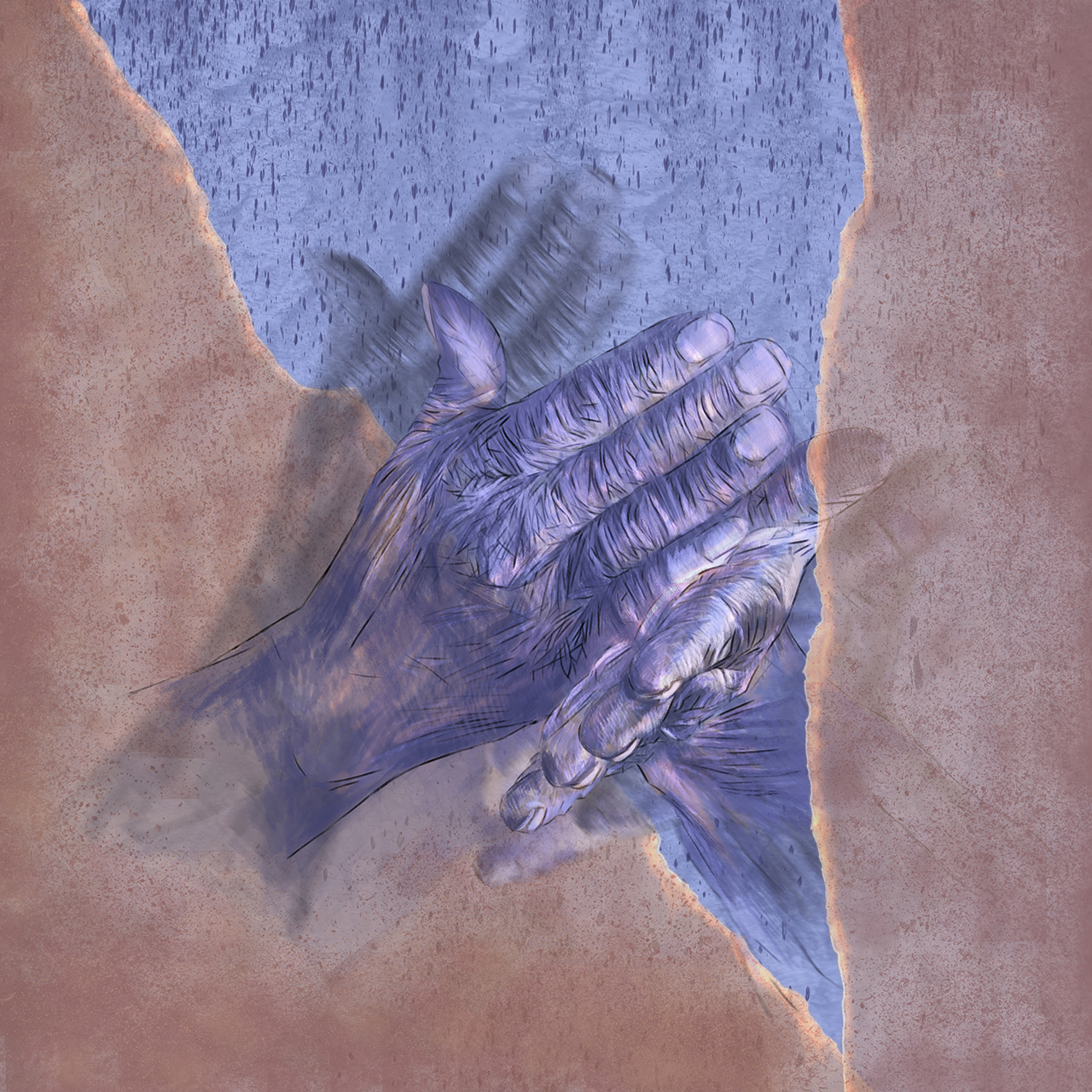 2021-8644 - Mariagrazia - Ferraiuolo - Tagli.