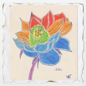 serena lampugnani - IL LOTO