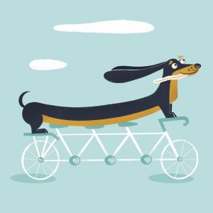 2023 - Nadia Groff - Similitudini