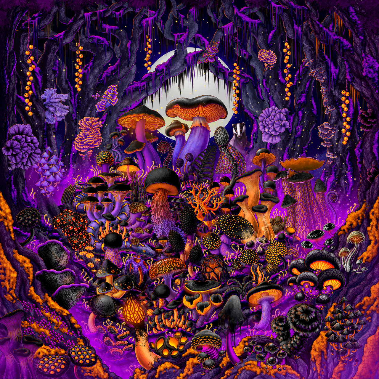 2024 - Aidan Haluani - Halloween Spirit