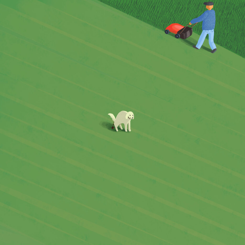 2024 - Agata Smoleń - TADA!