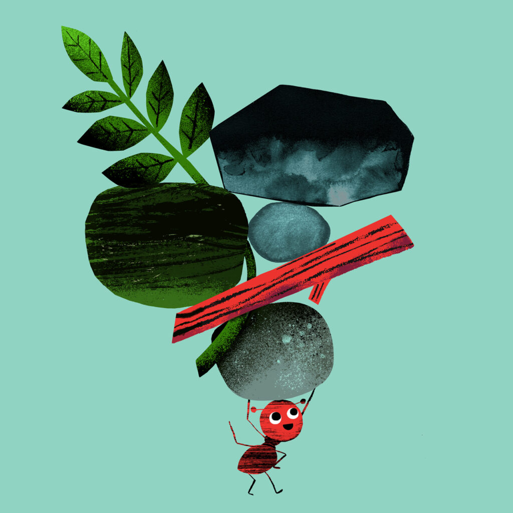 2024 - Kati Närhi - Small but mighty