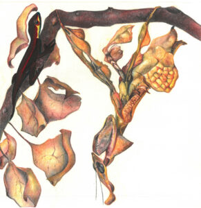 2024 - Cinzia Amanti - Mors tua vita mea