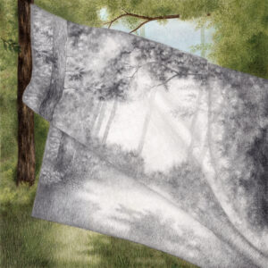 2024 - Camilla Gaudenzi - Voilà - Tornare a vedere